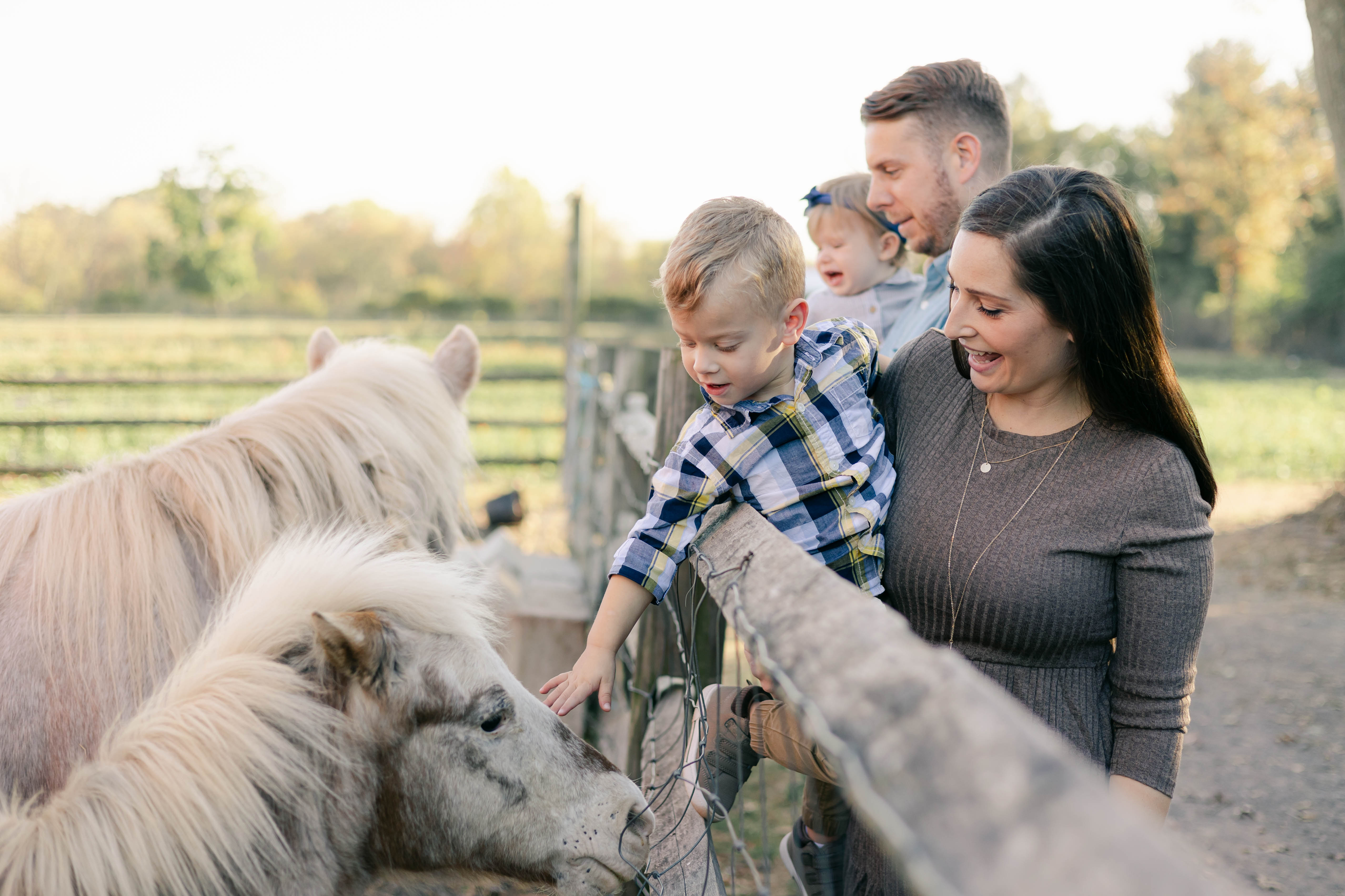 Toddler boy reaching over a wooden fence to pet two ponies while his parents and baby sister look on at a Bucks County farm