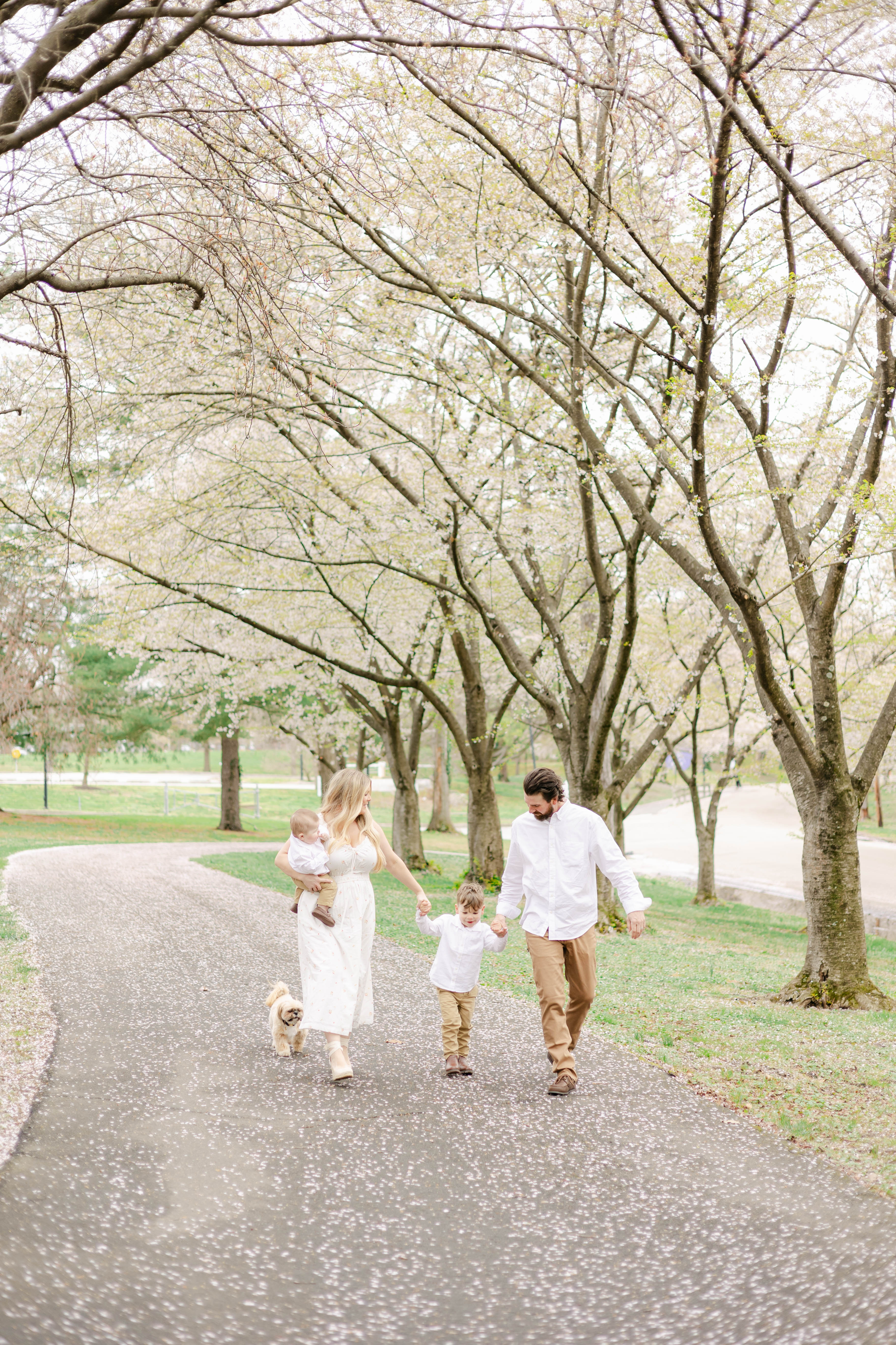 Family with a toddler, a baby and their dog walking down a path lined with blossoming spring trees