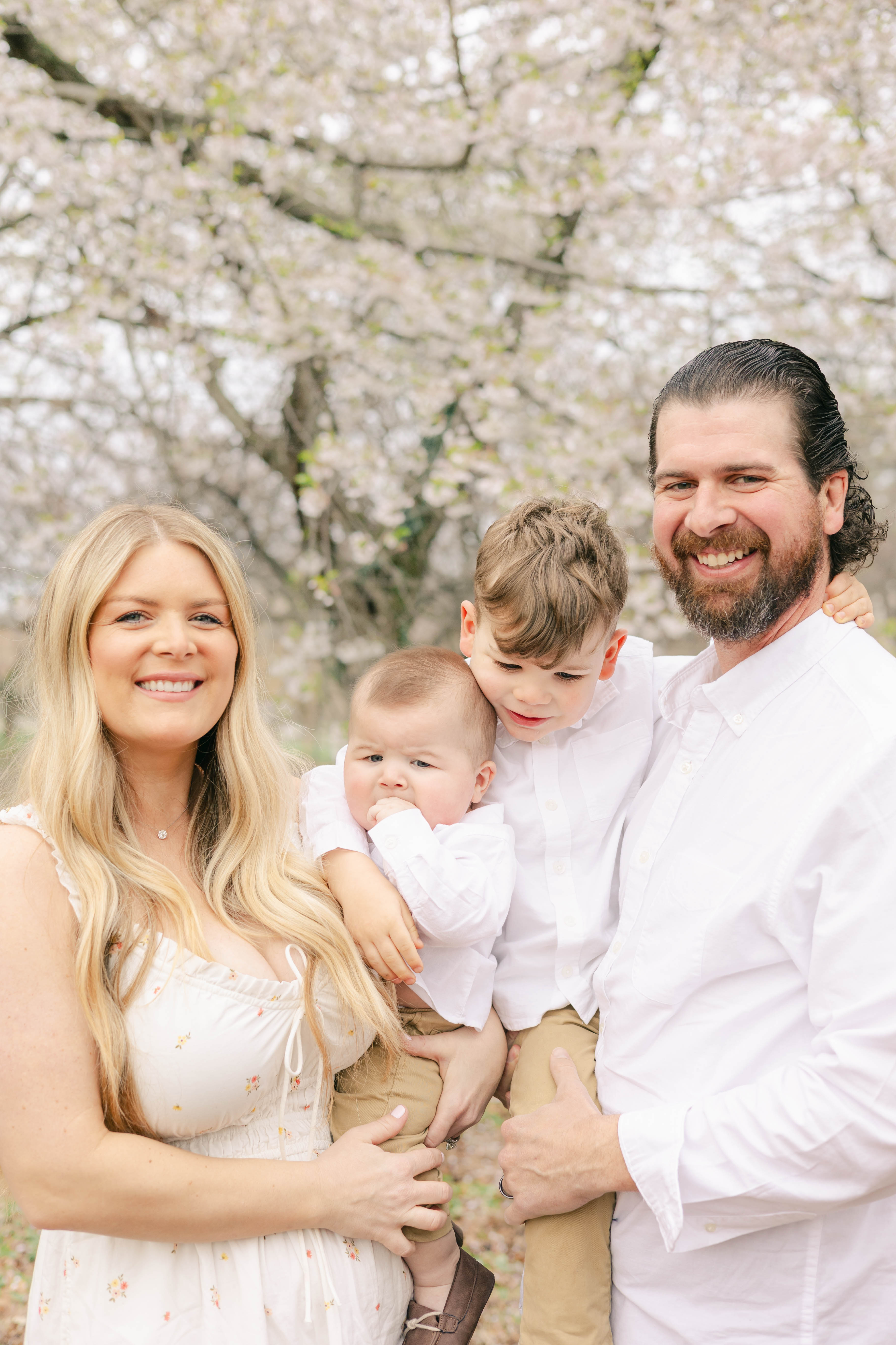 Smiling parents in white with their baby and young son under spring cherry blossoms